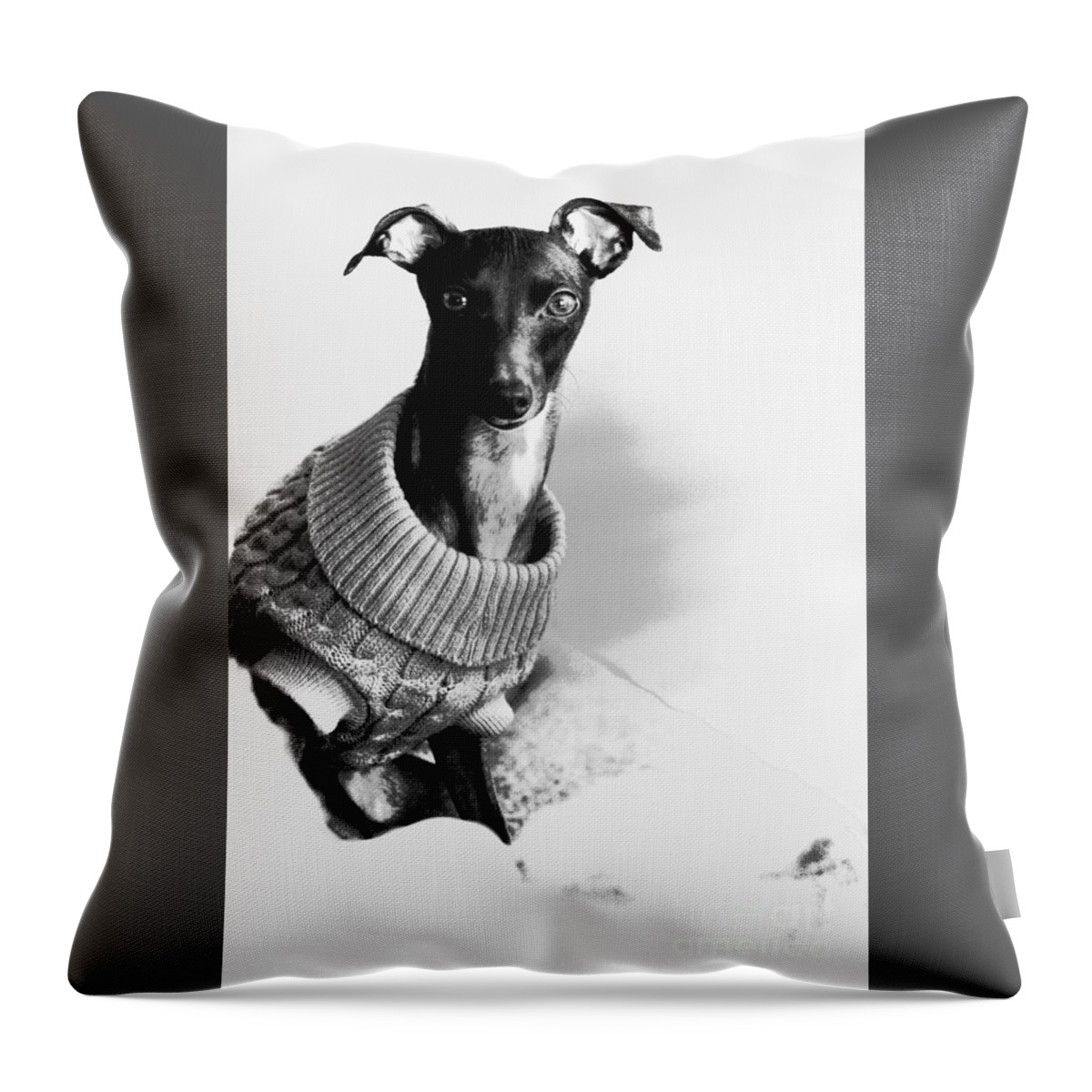 Editorial Throw Pillow featuring the photograph Oh Those Eyes Black and White 4 by Angela Rath
