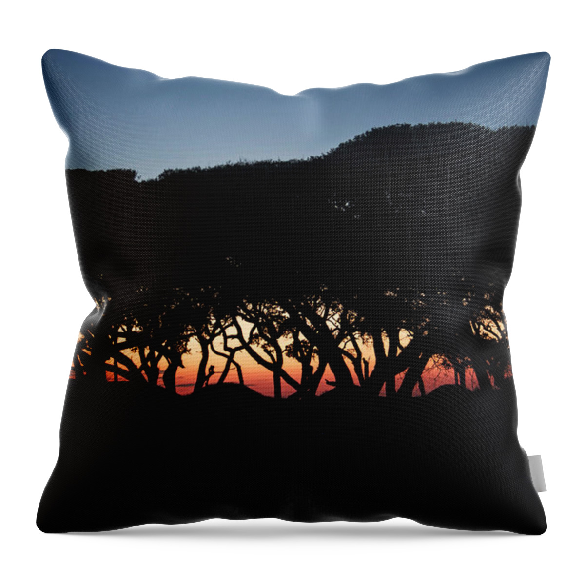 Fort Fisher Sunset Scene Throw Pillow featuring the digital art Oh Those Trees by Phil Mancuso