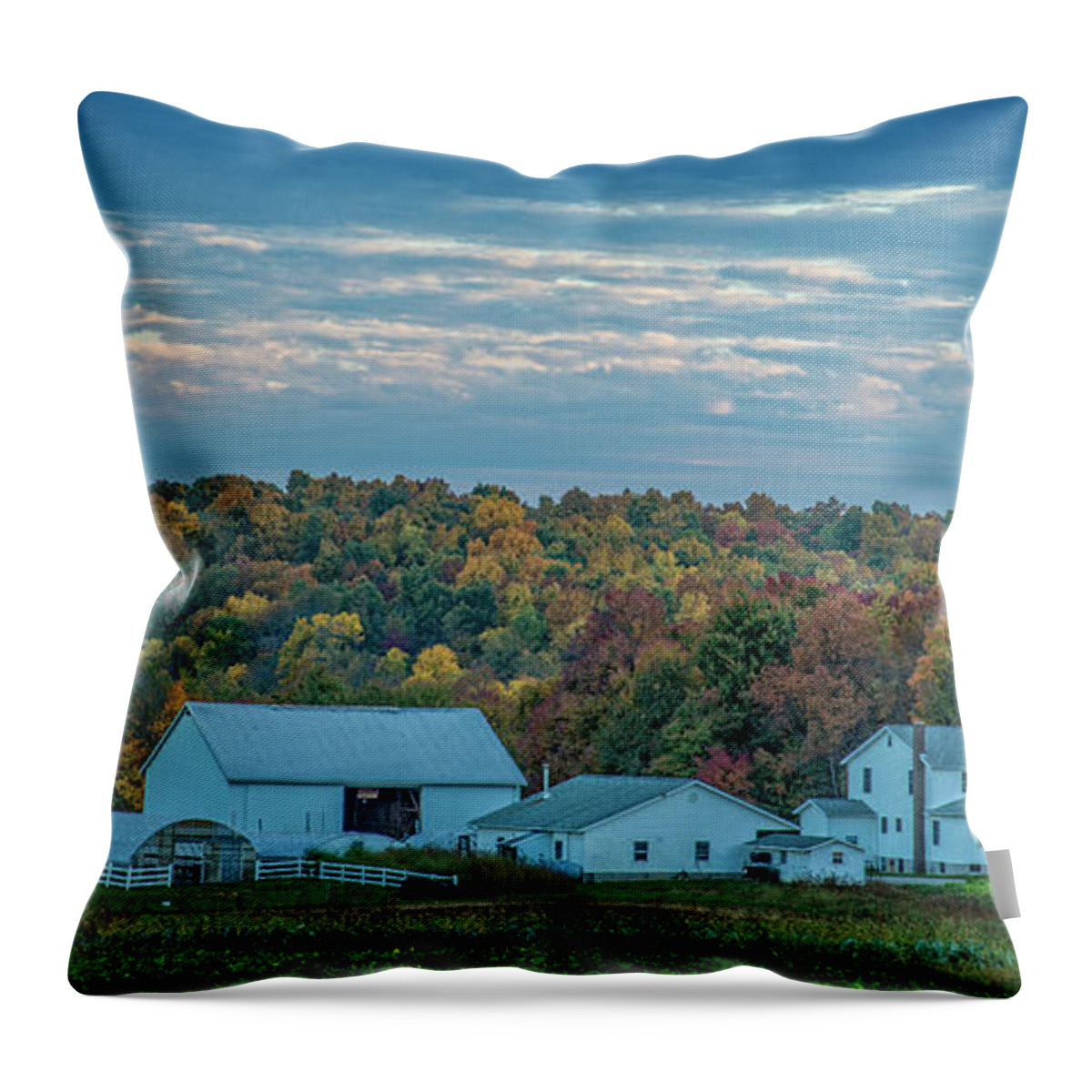 Rural America Throw Pillow featuring the photograph Ohio Farm by David Waldrop