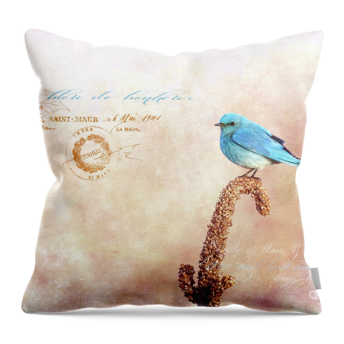 Beve Brown-clark Throw Pillow featuring the photograph Oiseau bleu de bonheur by Beve Brown-Clark Photography