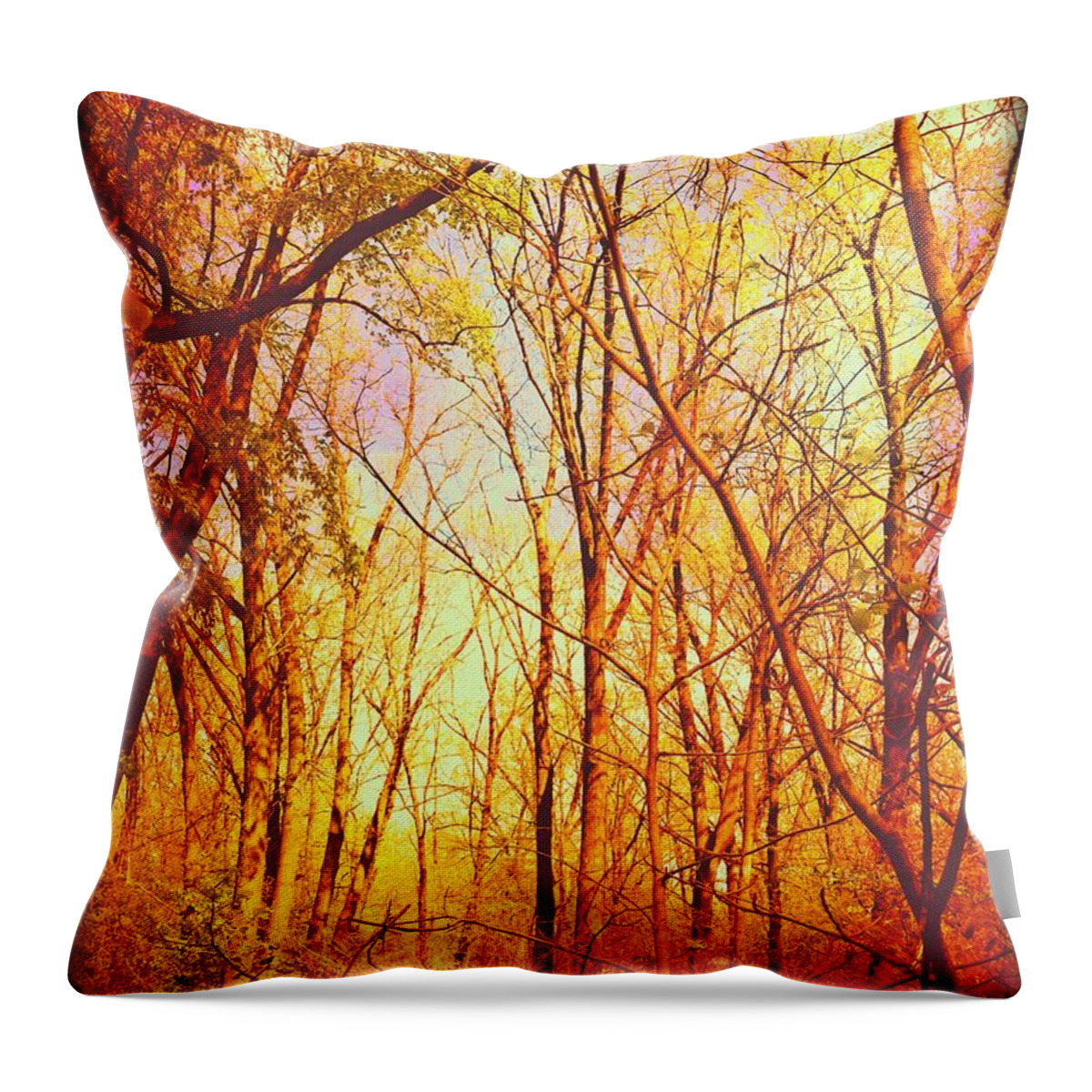 Fall Throw Pillow featuring the photograph Ojibway Autumn by Christine Paris