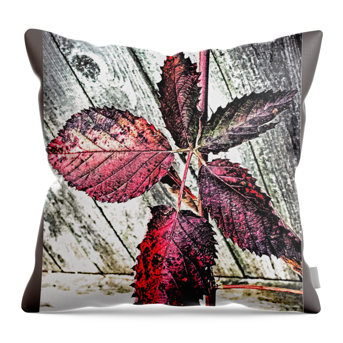 Photograph Throw Pillow featuring the photograph Old And Faded by MaryLee Parker