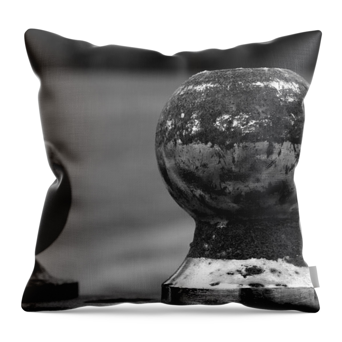 Ball Throw Pillow featuring the photograph Old and New by Karen Harrison Brown