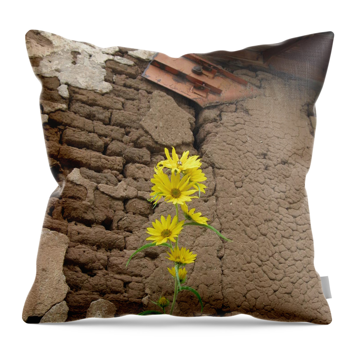  Throw Pillow featuring the photograph Old and New by Ron Monsour