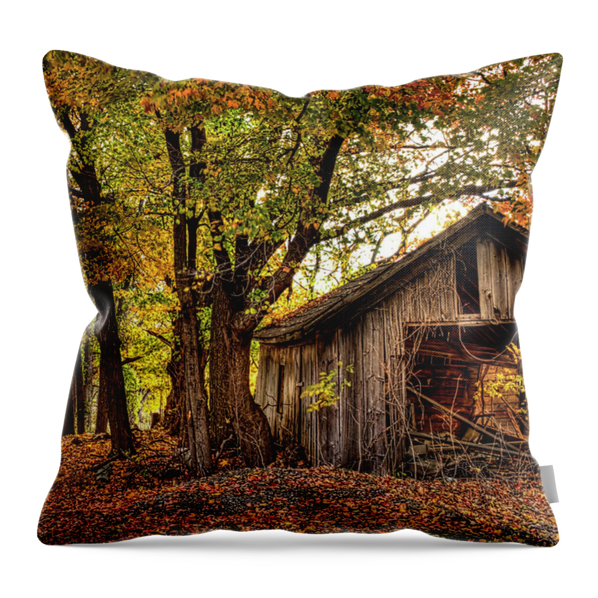Hdr Photography Throw Pillow featuring the photograph Old Autumn Shed by Richard Gregurich