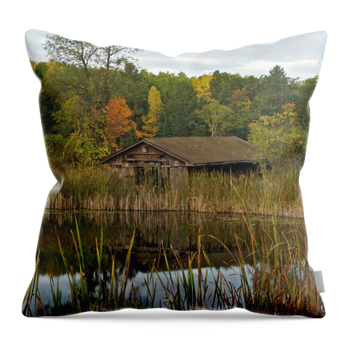 Lake Throw Pillow featuring the photograph Old Bait Shop on Twin Lake_9626 by Michael Peychich