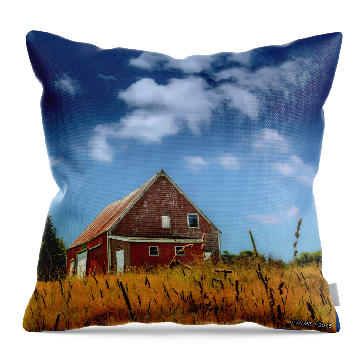 Abandoned Throw Pillow featuring the digital art Old Barn in Cape Breton by Ken Morris