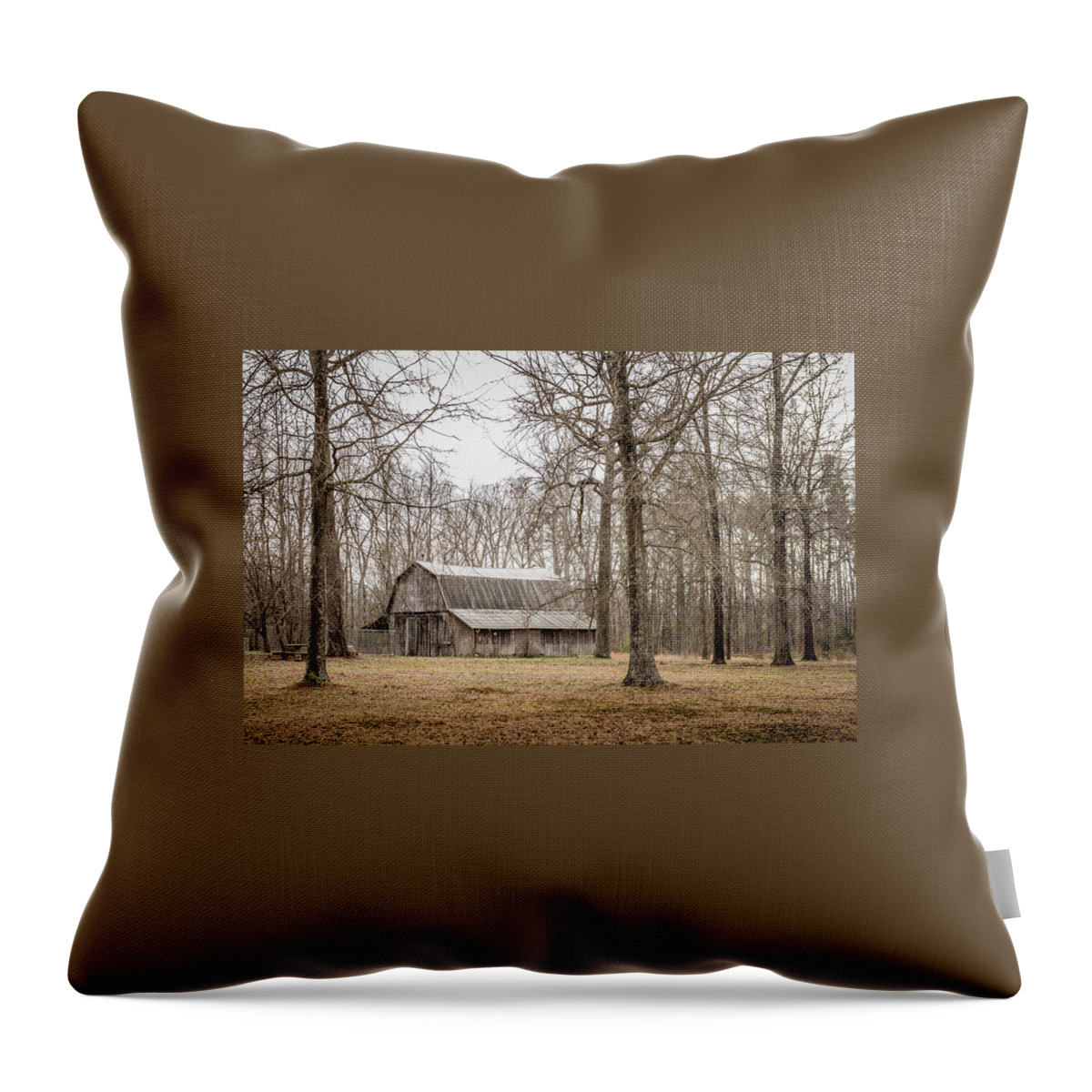 Old Barn Throw Pillow featuring the photograph Old Barn in the Woods by Cynthia Wolfe