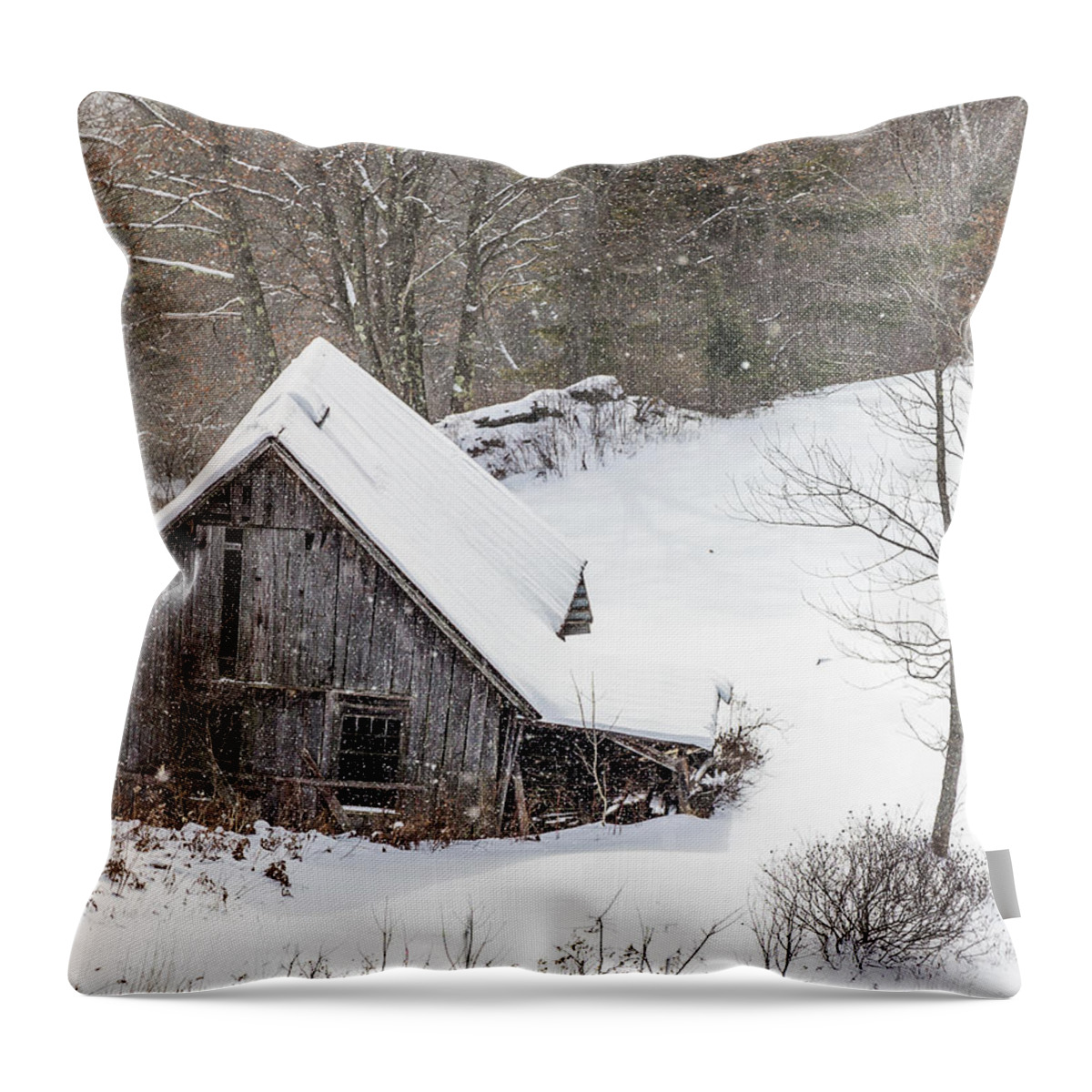 Barn Throw Pillow featuring the photograph Old Barn on a Winter Day by Tim Kirchoff