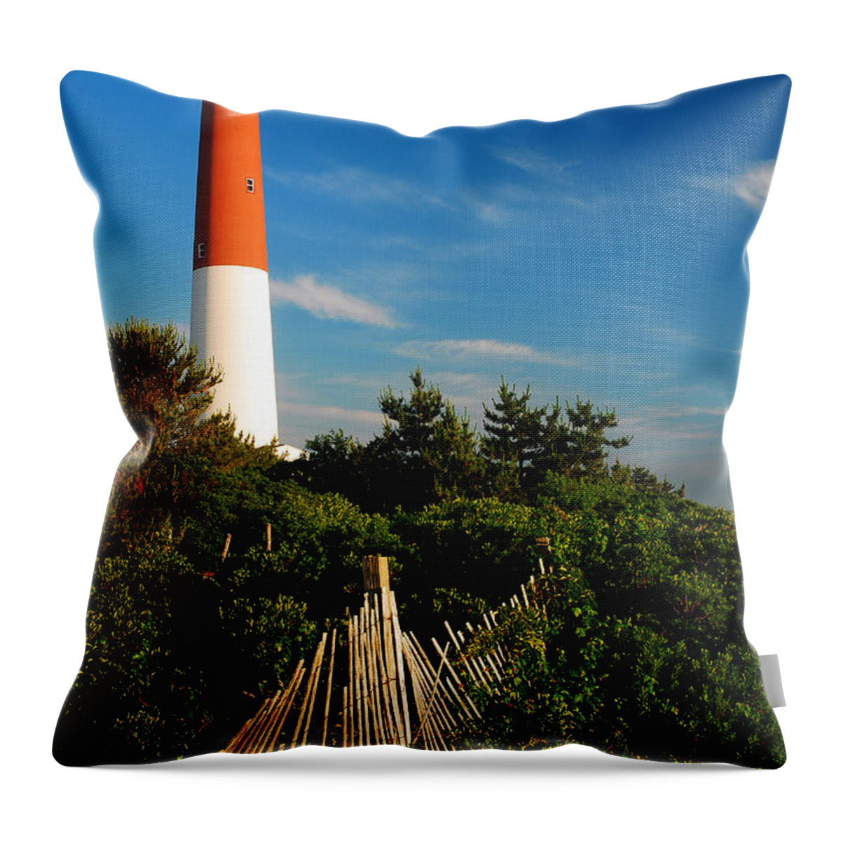 Barnegat Throw Pillow featuring the photograph Old Barney by James Kirkikis