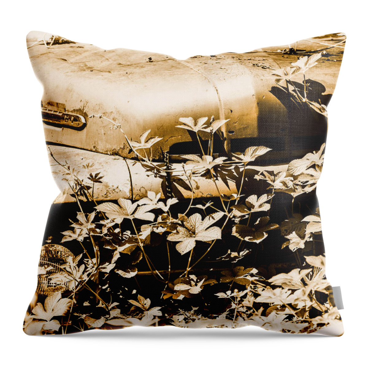 Old Classic Truck Throw Pillow featuring the photograph Old Beauty wasting away by Gerald Kloss