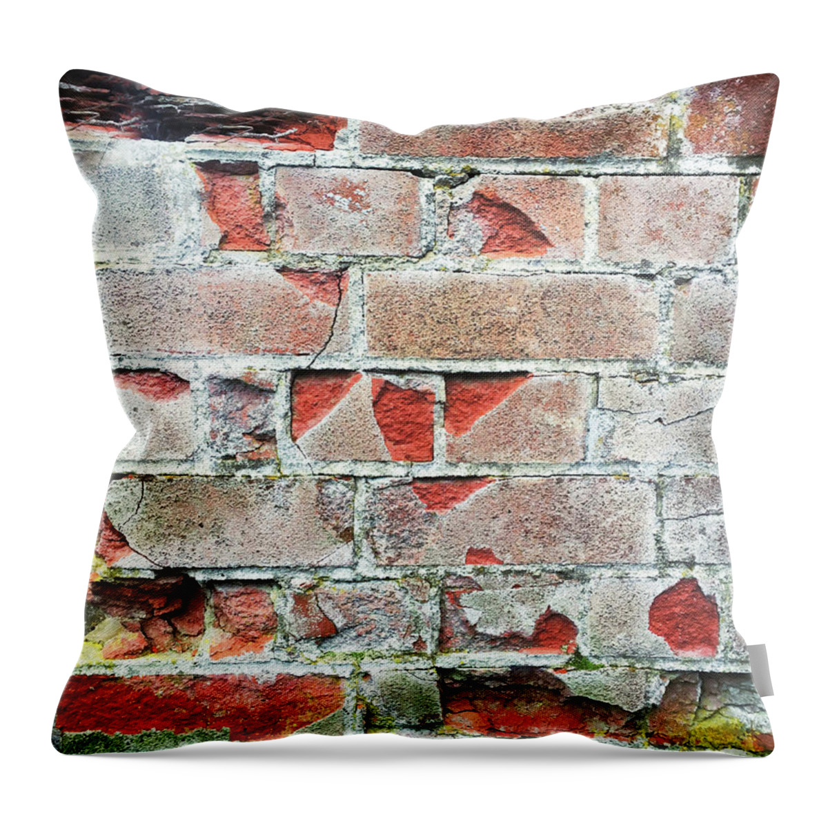 Abandoned Throw Pillow featuring the photograph Old brick wall by Tom Gowanlock