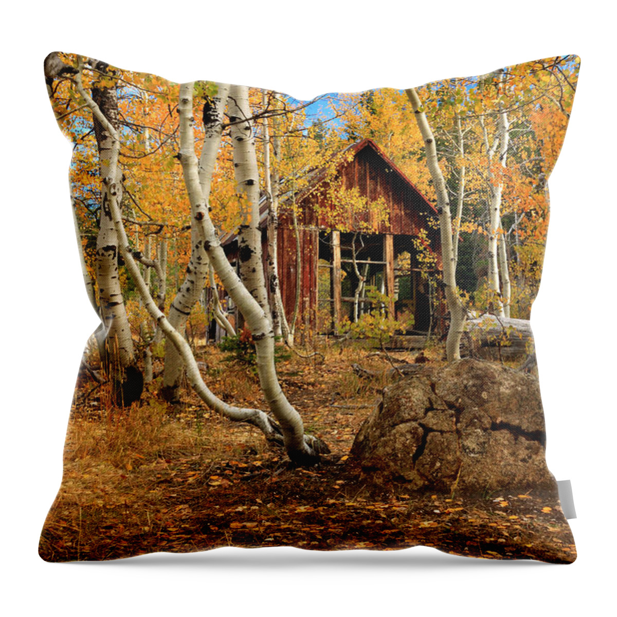 Cabin Throw Pillow featuring the photograph Old Cabin In The Aspens by James Eddy