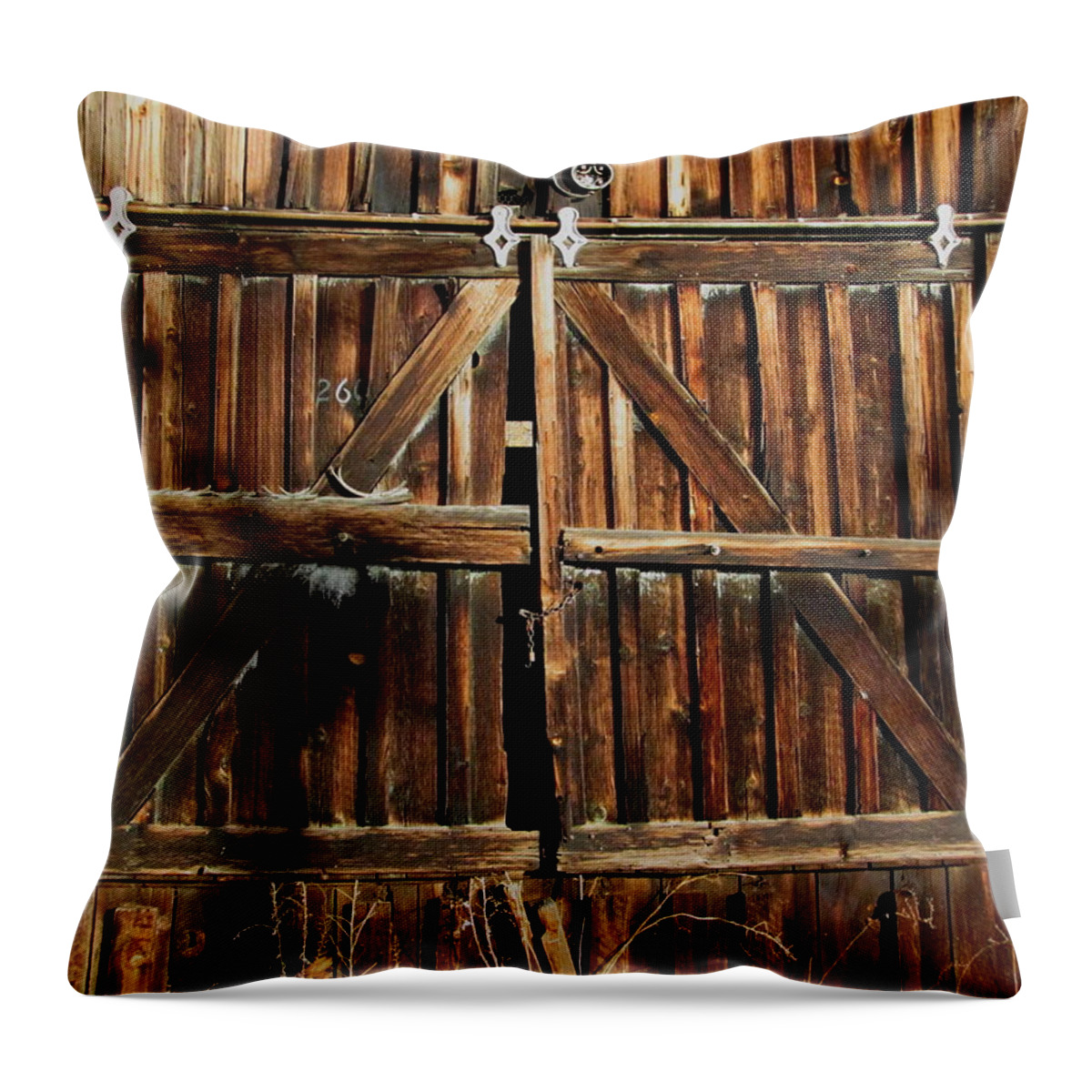 Barn Throw Pillow featuring the photograph Old Cedarville Barn #3 by Dreamweaver Gallery