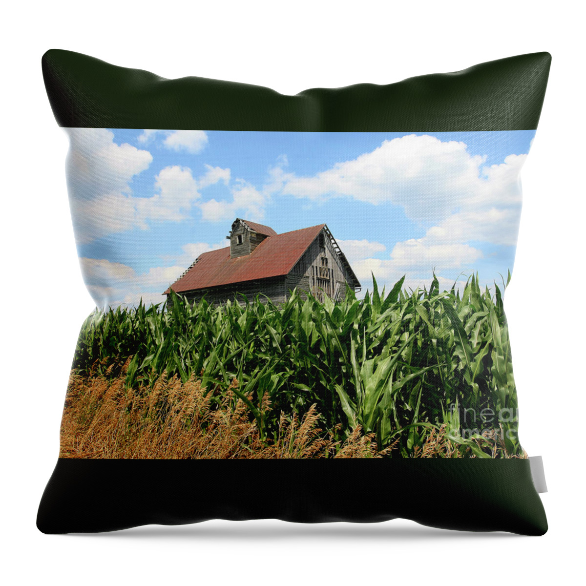 Corn Throw Pillow featuring the photograph Old Corn Crib by Paula Guttilla