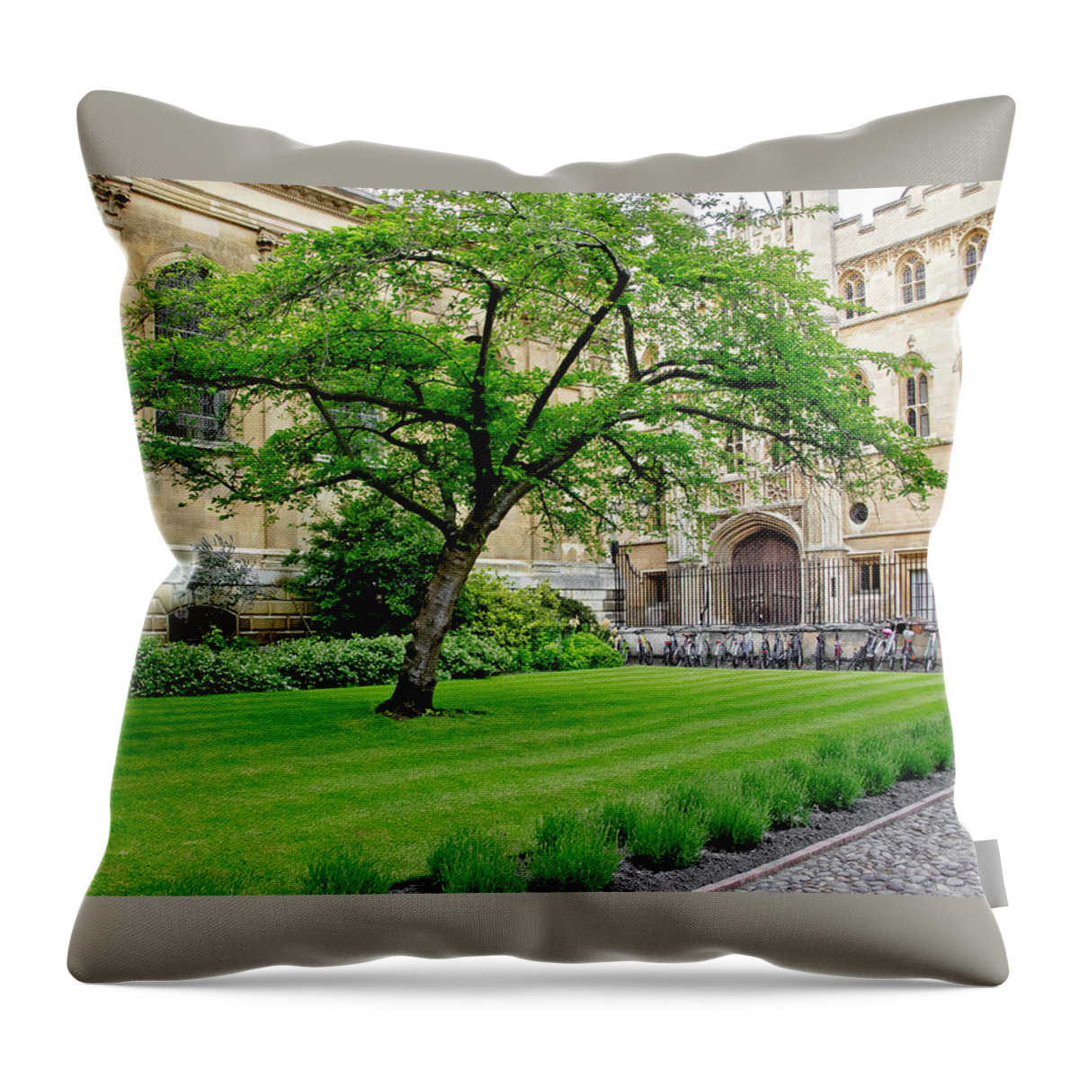 Old Court Throw Pillow featuring the photograph Old court. Clare College. by Elena Perelman