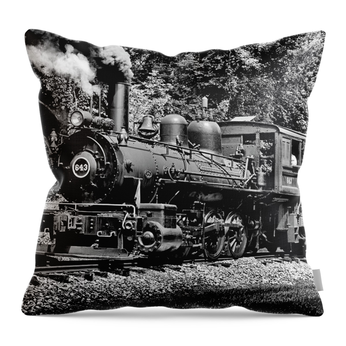 D2-rr-1594-b Throw Pillow featuring the photograph Old Engine 643 in BW by Paul W Faust - Impressions of Light