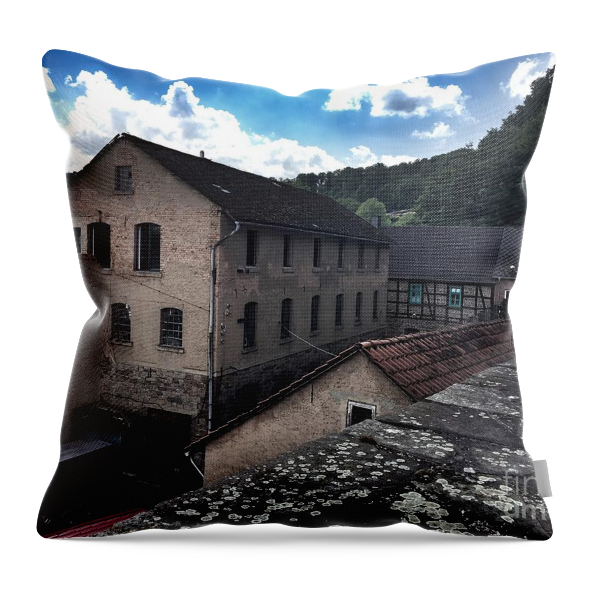 Old Throw Pillow featuring the photograph Old factory by Eva-Maria Di Bella