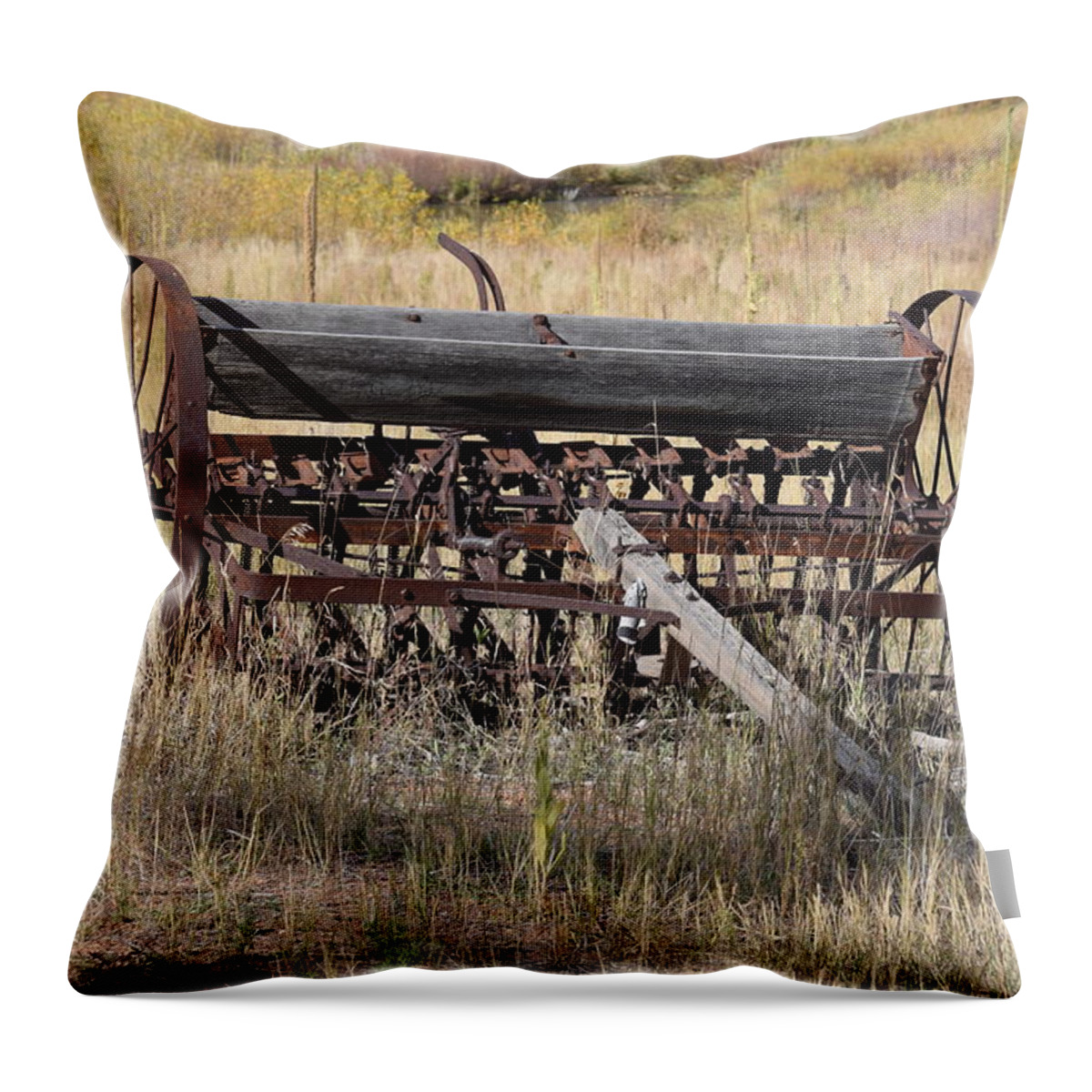 Old Throw Pillow featuring the photograph Farm Implament Westcliffe CO by Margarethe Binkley
