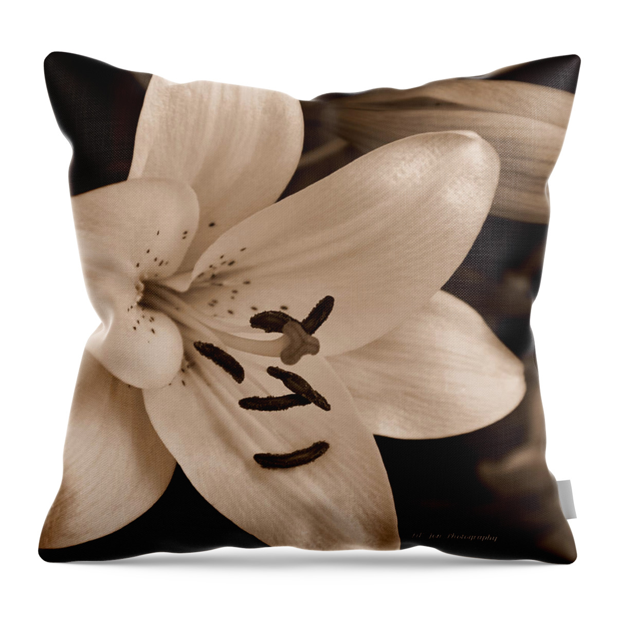 Old Throw Pillow featuring the photograph Old Fashioned Kind Of Love by Jeanette C Landstrom