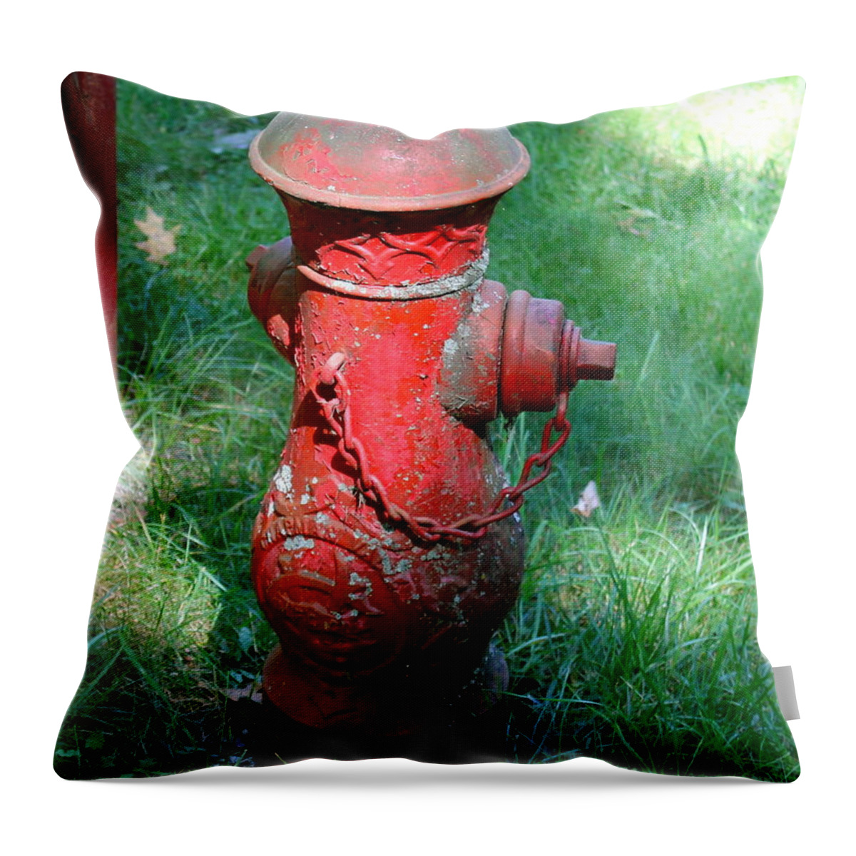 Fire Hydrant Throw Pillow featuring the photograph Old Fire Hydrant by Pamela Walrath
