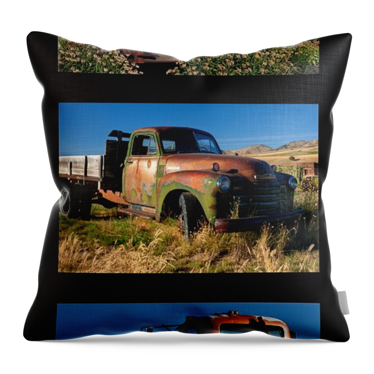 Triptych Throw Pillow featuring the photograph Old Guys Trio 4 by Idaho Scenic Images Linda Lantzy