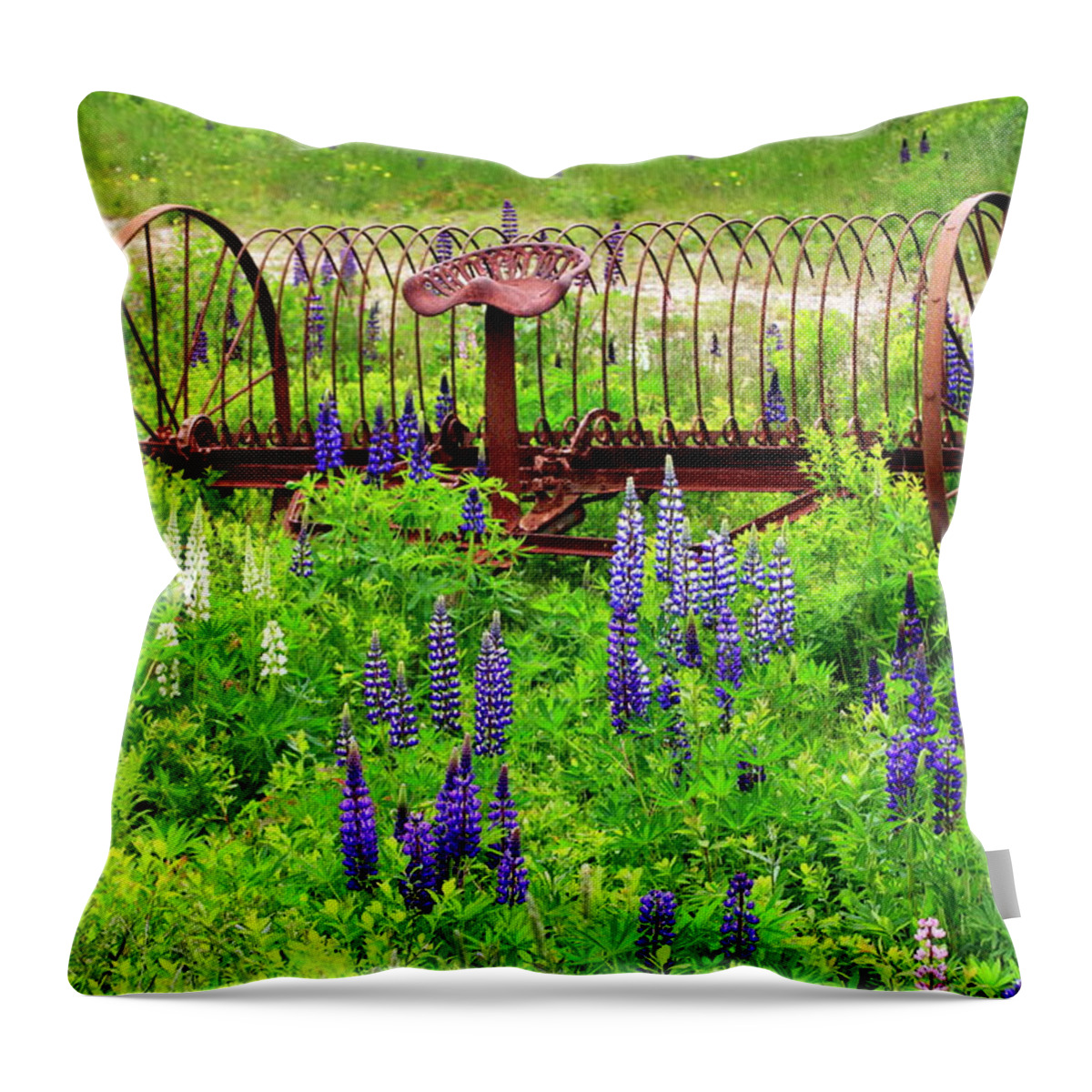 Old Throw Pillow featuring the photograph Old Hay Rake And Lupines by Gary Corbett