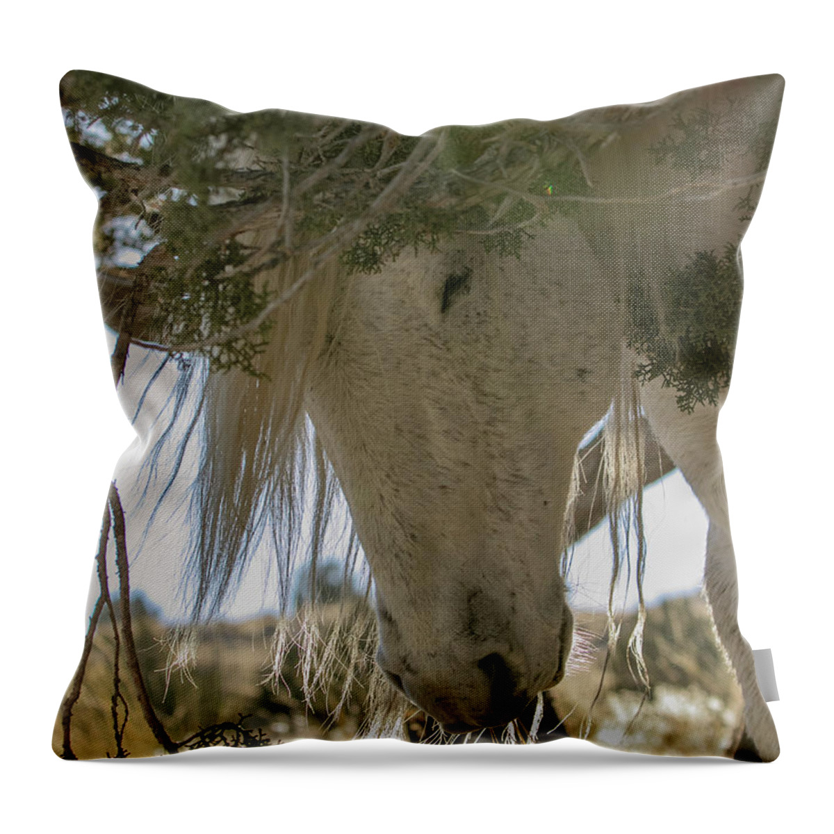 Horse Throw Pillow featuring the photograph Old Man and The Juniper by Kent Keller