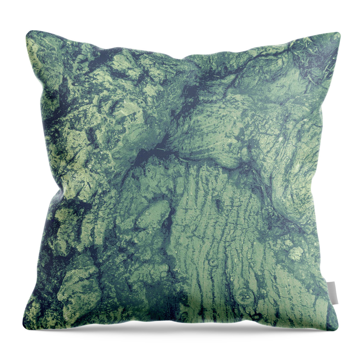 Tree Throw Pillow featuring the photograph Old Man Tree by Alison Stein