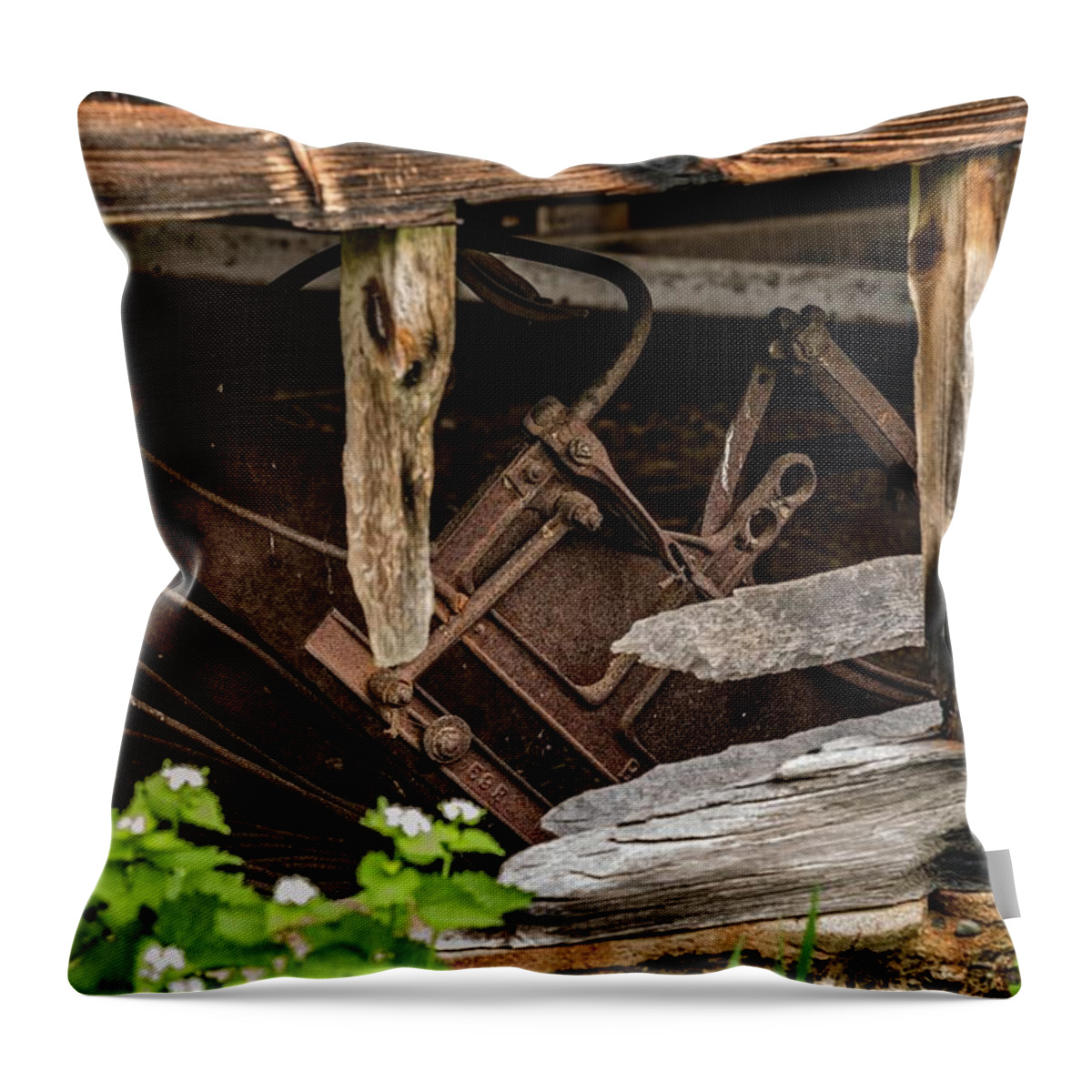  Throw Pillow featuring the photograph Old metal peeking by Pamela Taylor