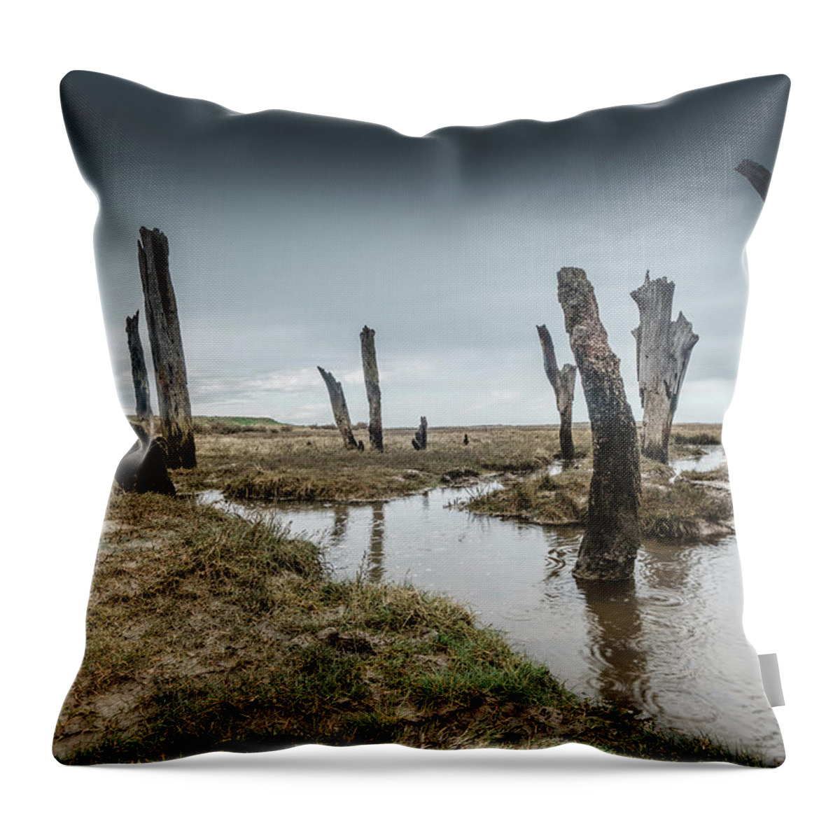 Ancient Throw Pillow featuring the photograph Old Posts by James Billings
