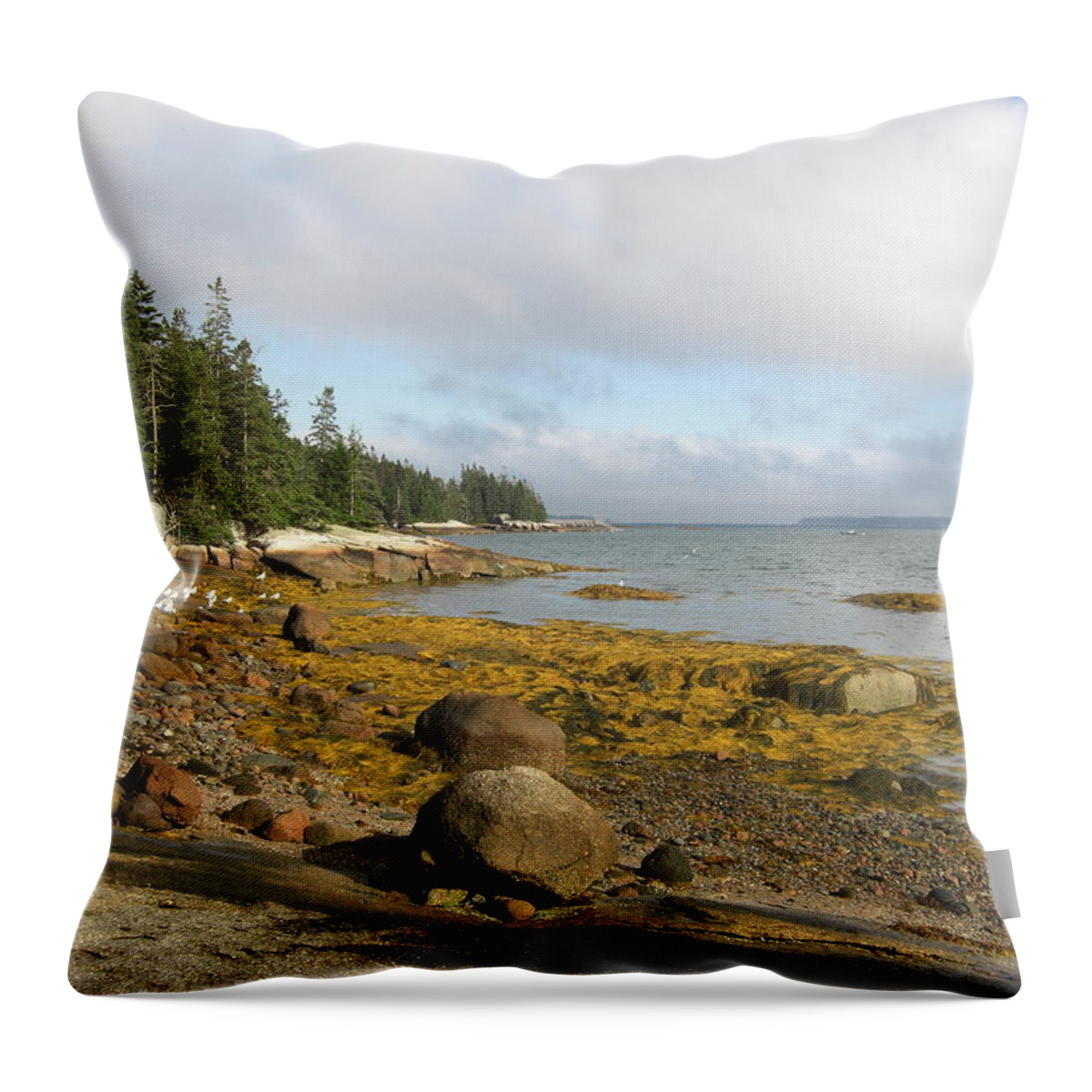 Old Quarry Stonington Maine Ocean Landscape Throw Pillow featuring the photograph Old Quarry Beach, Stonington, ME by Barbara Smith-Baker