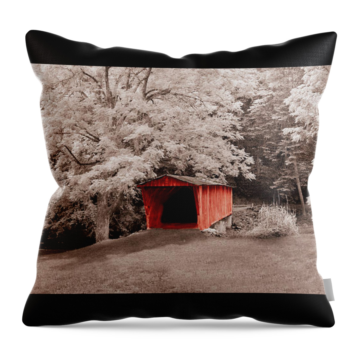Kissing Throw Pillow featuring the mixed media Old Red Bridge by Eric Liller