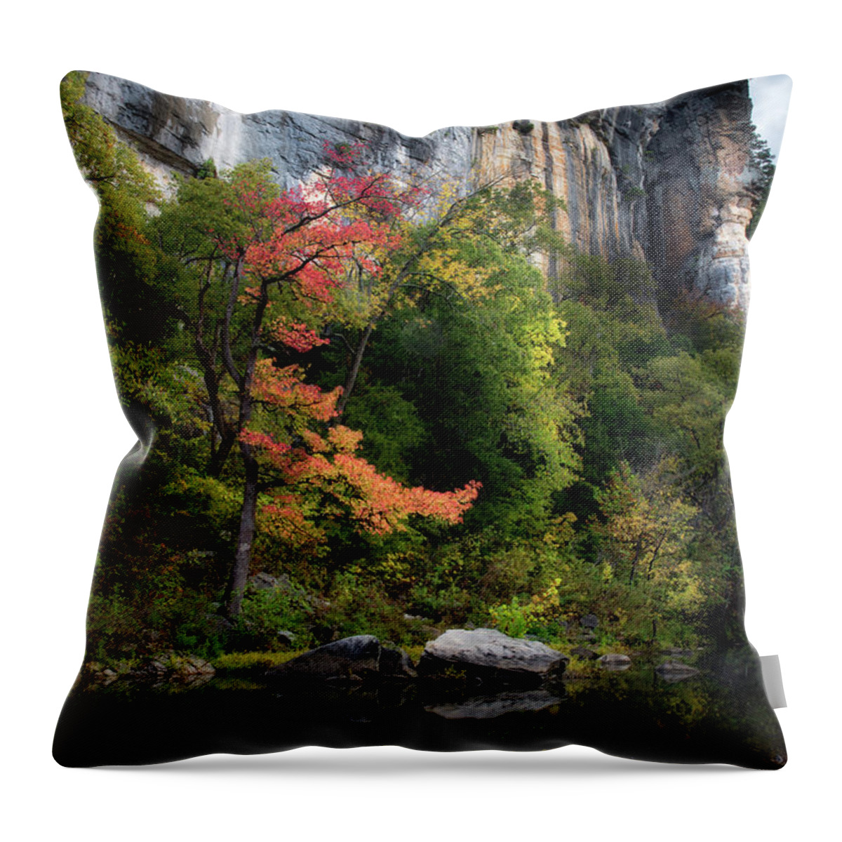 Buffalo River Throw Pillow featuring the photograph Old Red by James Barber