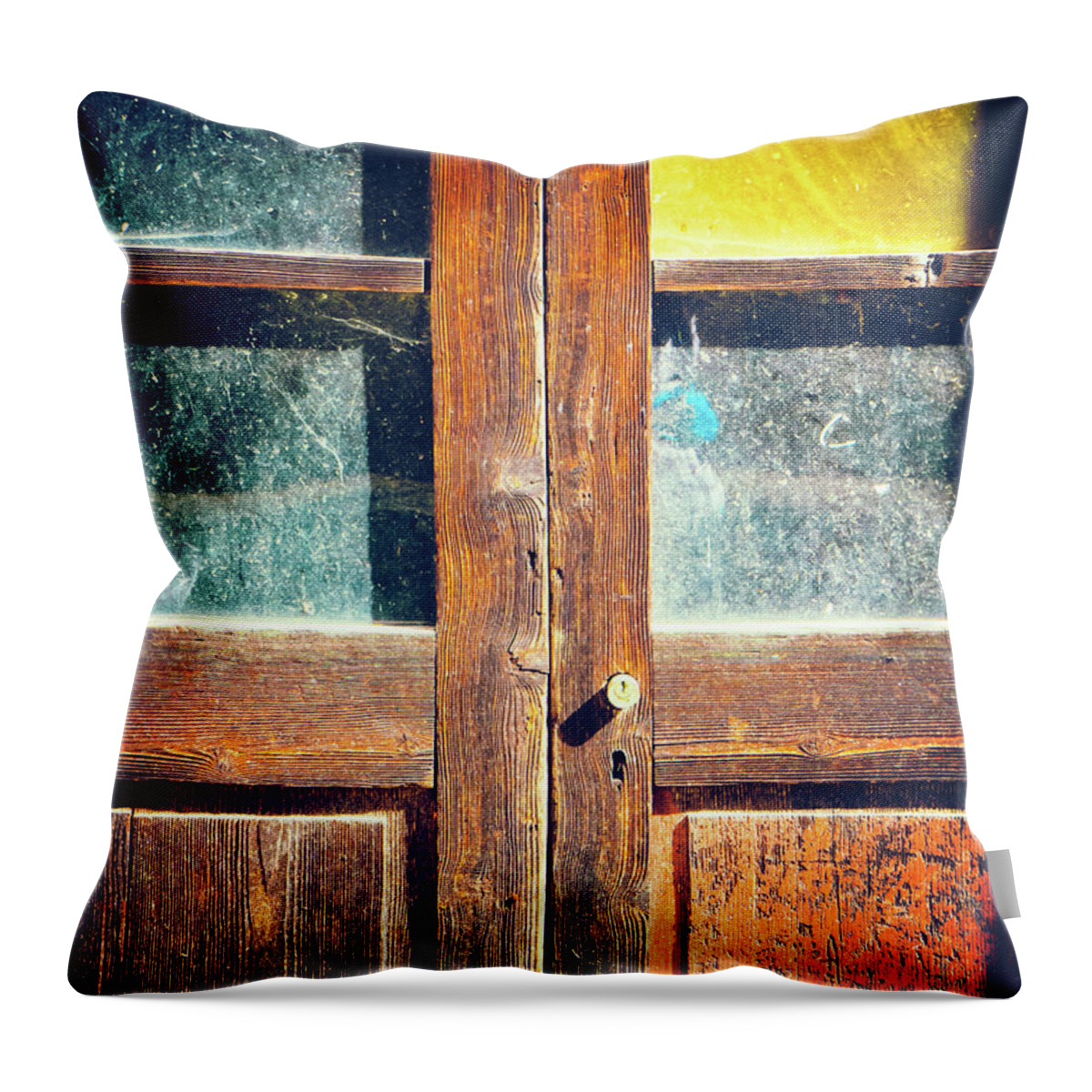 Architecture Throw Pillow featuring the photograph Old rotten door by Silvia Ganora
