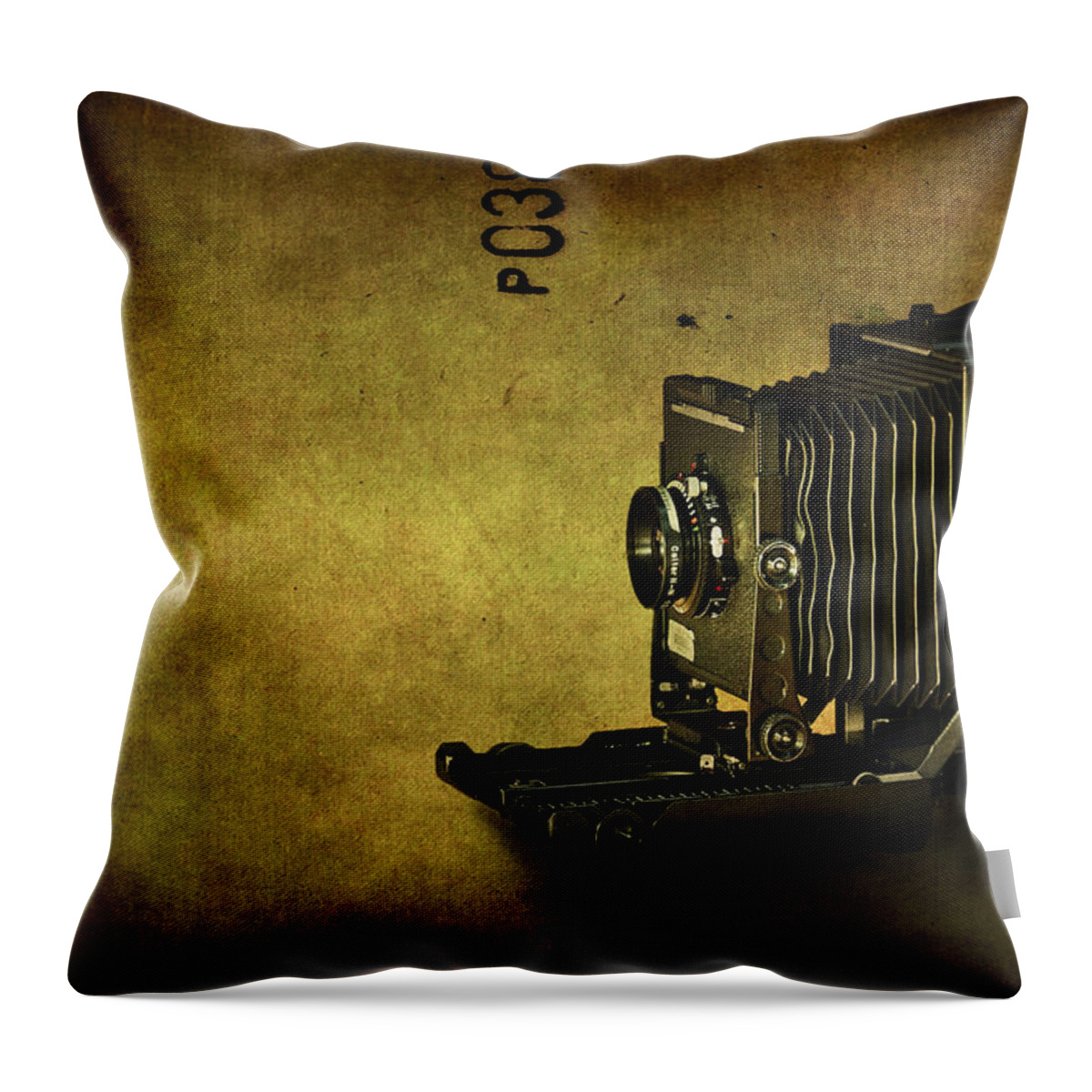Camera Throw Pillow featuring the photograph Old School by Evelina Kremsdorf