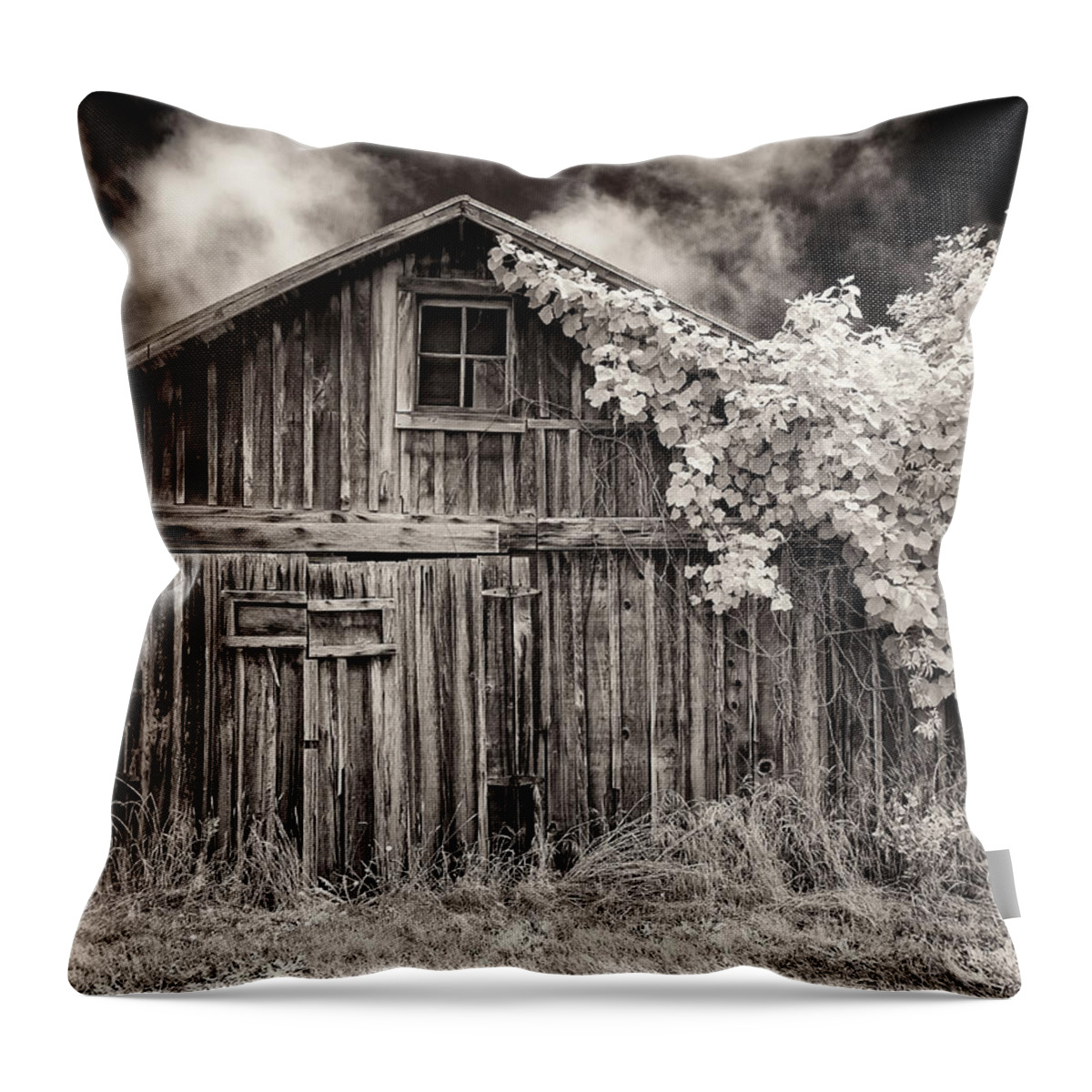 Old Shed Throw Pillow featuring the photograph Old Shed in Sepia by Greg Nyquist