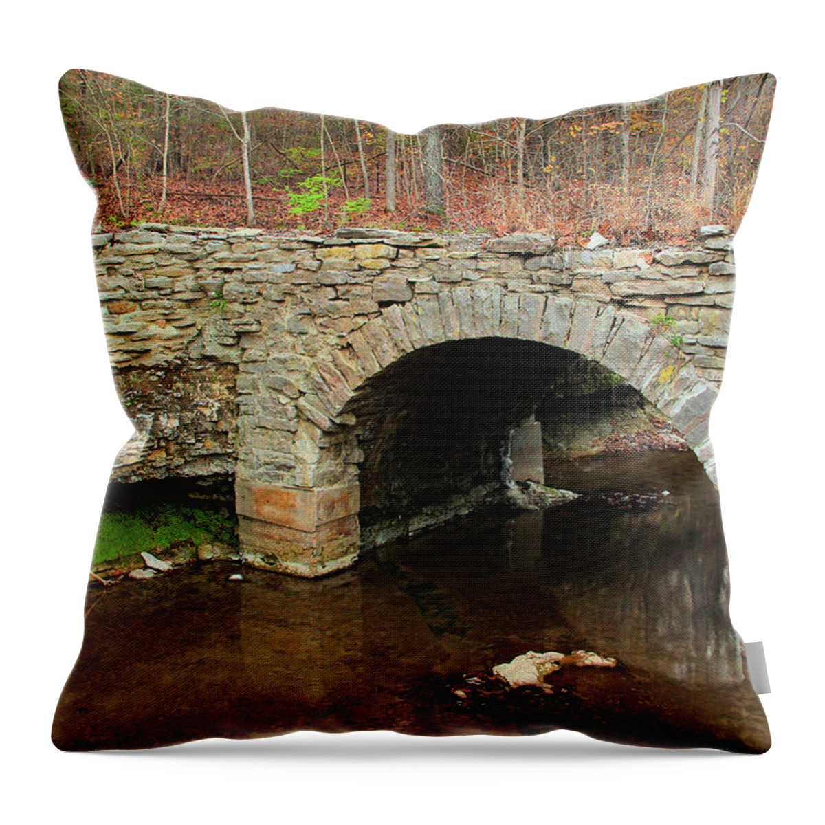 Old Stone Bridge Throw Pillow featuring the photograph Old Stone Bridge in Illinois 1 by Greg Matchick