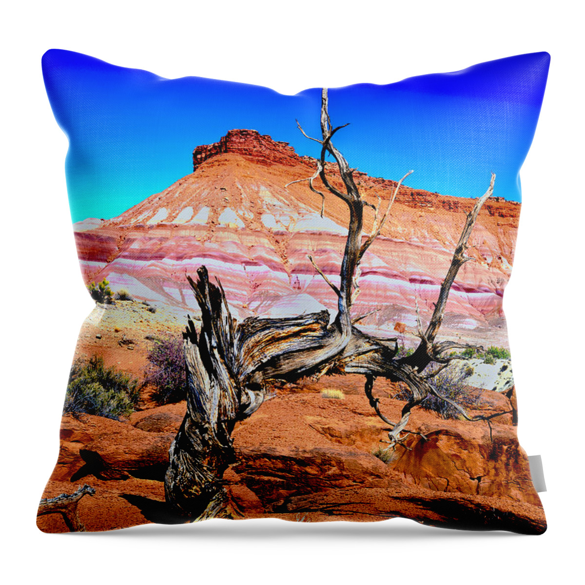 Vermilion Cliff/ Paria Wilderness Area Throw Pillow featuring the photograph Old-Timer by Frank Houck