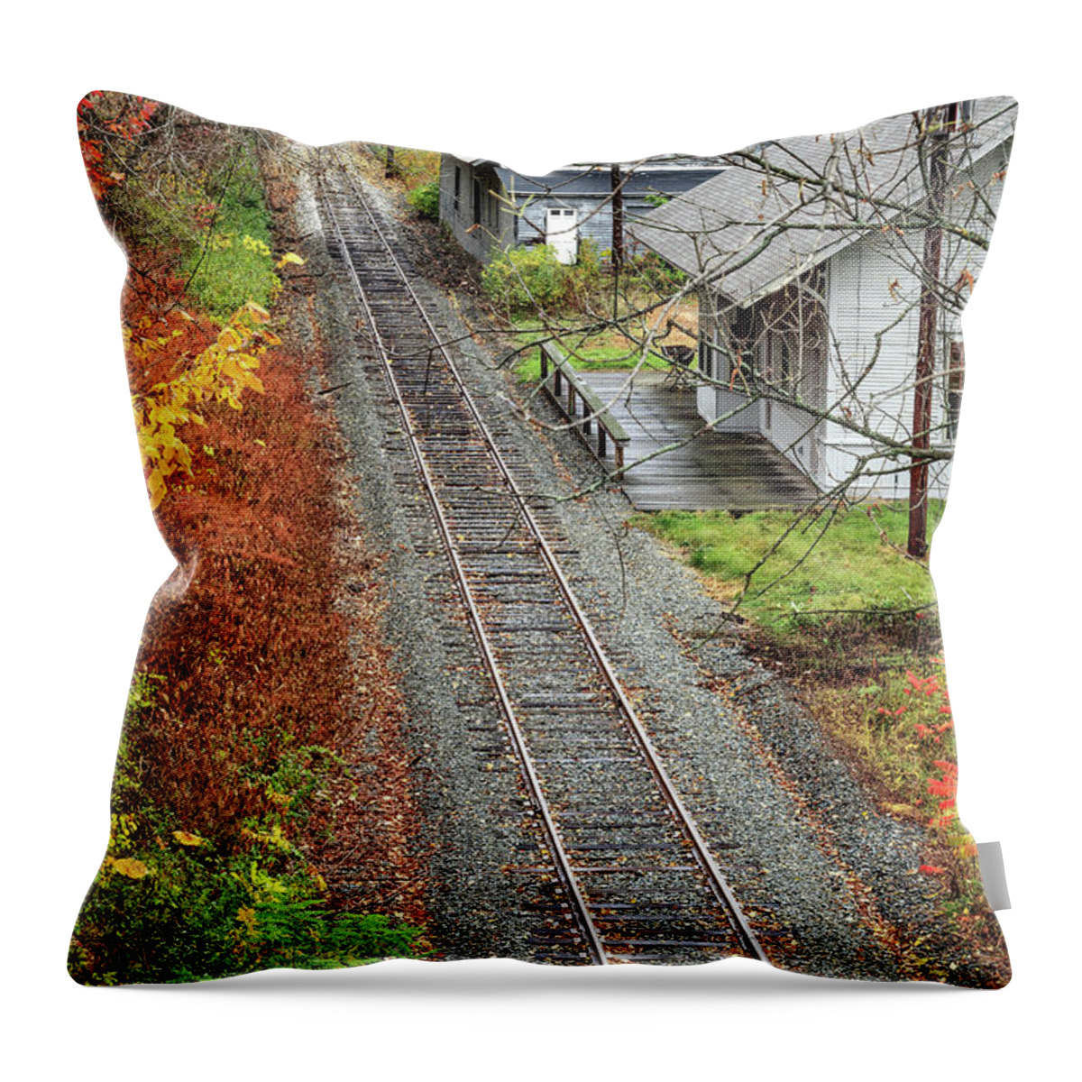 Train Throw Pillow featuring the photograph Old Train Station Norwich Vermont by Edward Fielding