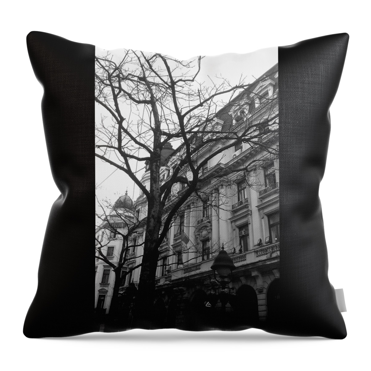 Tree Throw Pillow featuring the photograph Old tree in the Knez Mihajlova Street in Belgrade by Anamarija Marinovic