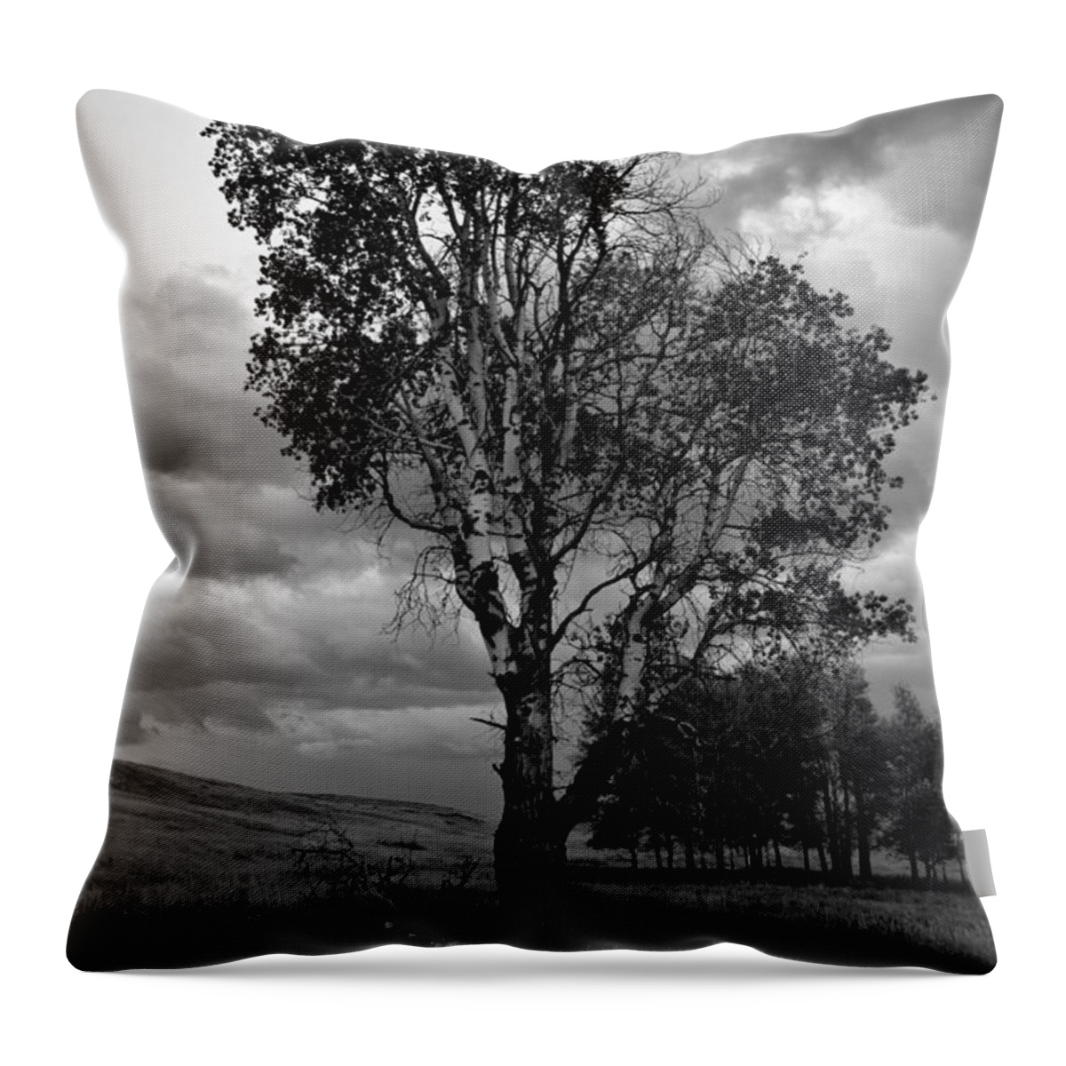Scenery Throw Pillow featuring the photograph Old Tree, Lost Trail Wildlife Refuge by Jedediah Hohf