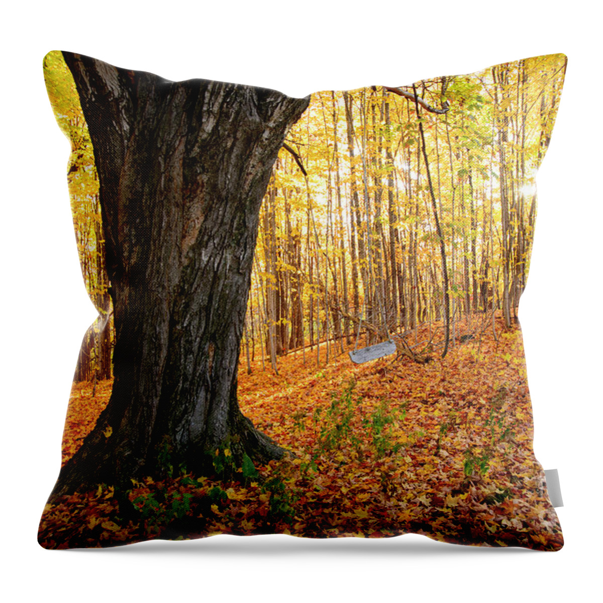 Maple Throw Pillow featuring the photograph Old Tree Swing by Alana Ranney