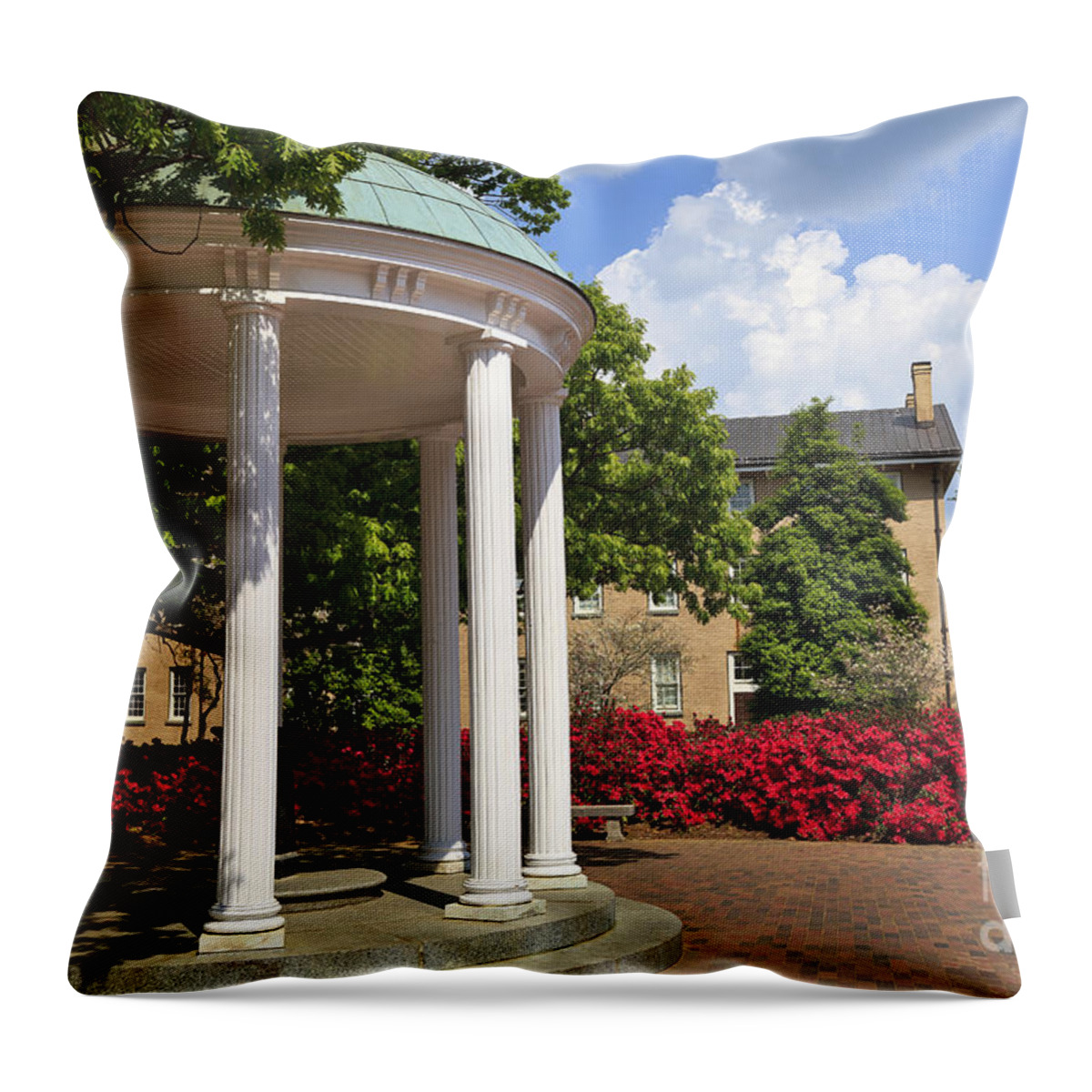 Old Well Throw Pillow featuring the photograph Old Well at Chapel Hill in Spring by Jill Lang