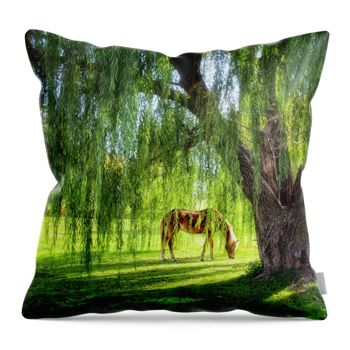 Old Willow Tree In The Meadow Throw Pillow featuring the photograph Old Willow Tree in the Meadow by Carolyn Derstine