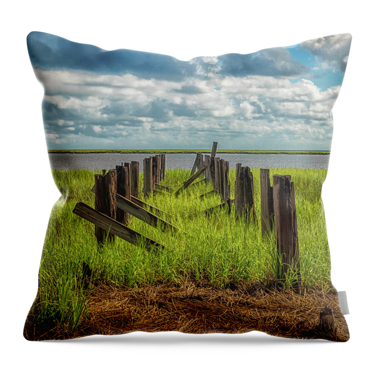 Harris Neck Throw Pillow featuring the photograph Olde Pier by Ray Silva