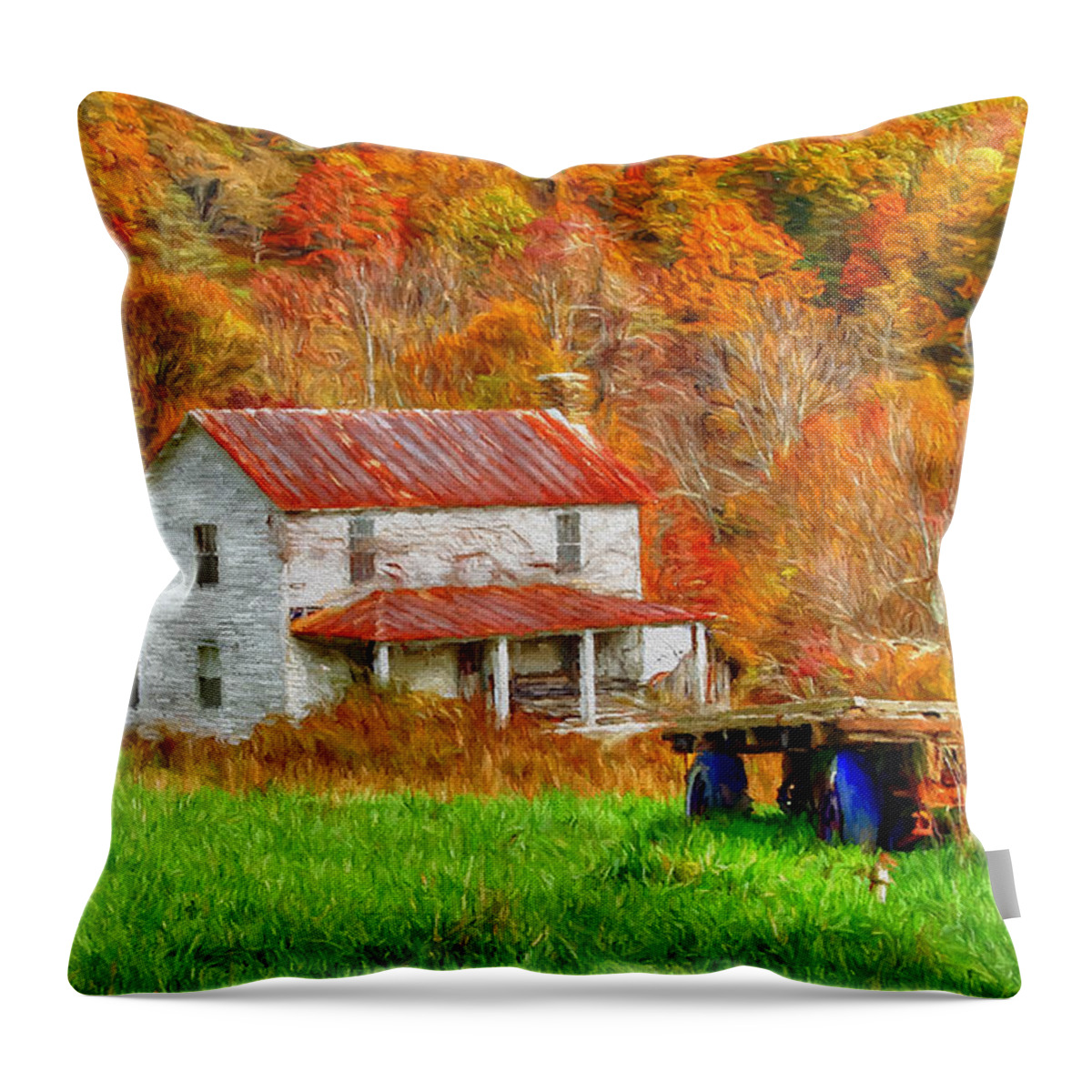 Virginia Throw Pillow featuring the photograph Ole Farm House by Darren Fisher