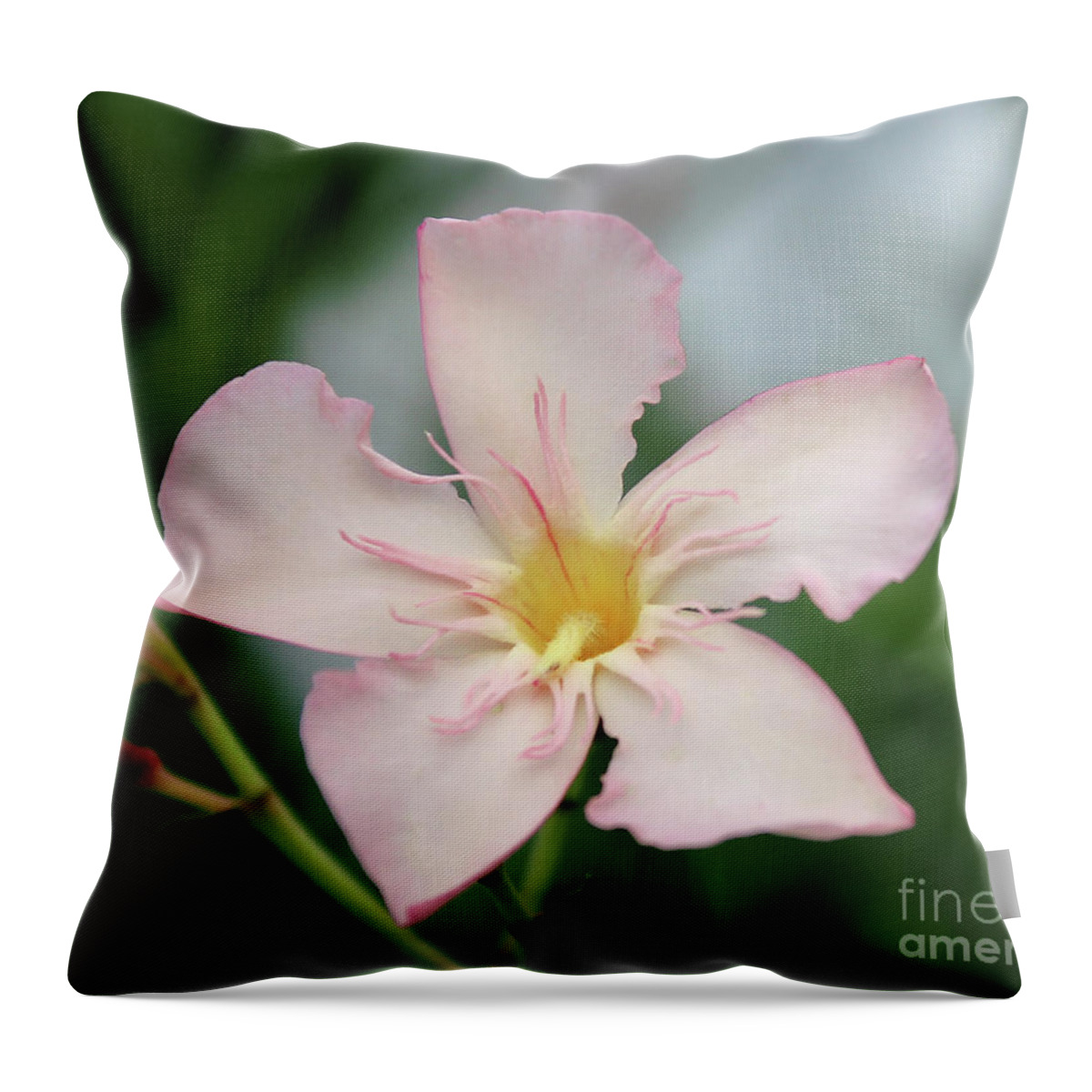 Oleander Throw Pillow featuring the photograph Oleander Agnes Campbell by Wilhelm Hufnagl
