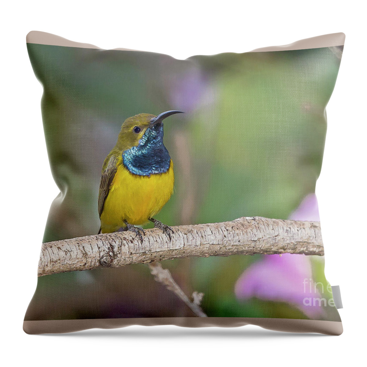 2014 Throw Pillow featuring the photograph Olive-backed Sunbird by Jean-Luc Baron