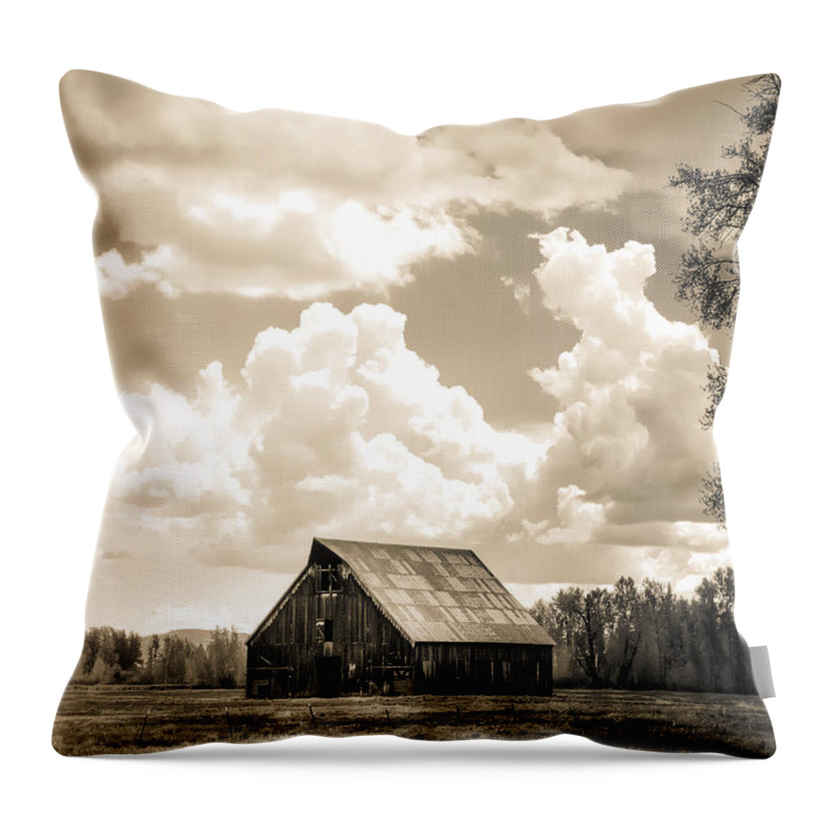 2015 Throw Pillow featuring the photograph Olsen Barn Thunderstorm by Jan Davies